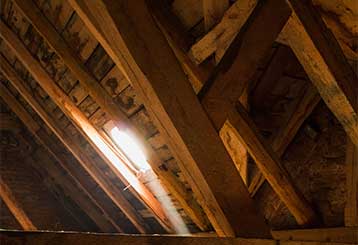 Attic Insulation Removal | Attic Cleaning Walnut Creek, CA