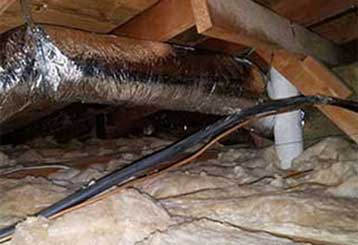 Crawl Space Cleaning | Attic Cleaning Walnut Creek, CA