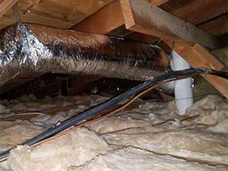 Crawl Space Cleaning Services | Attic Cleaning Walnut Creek, CA